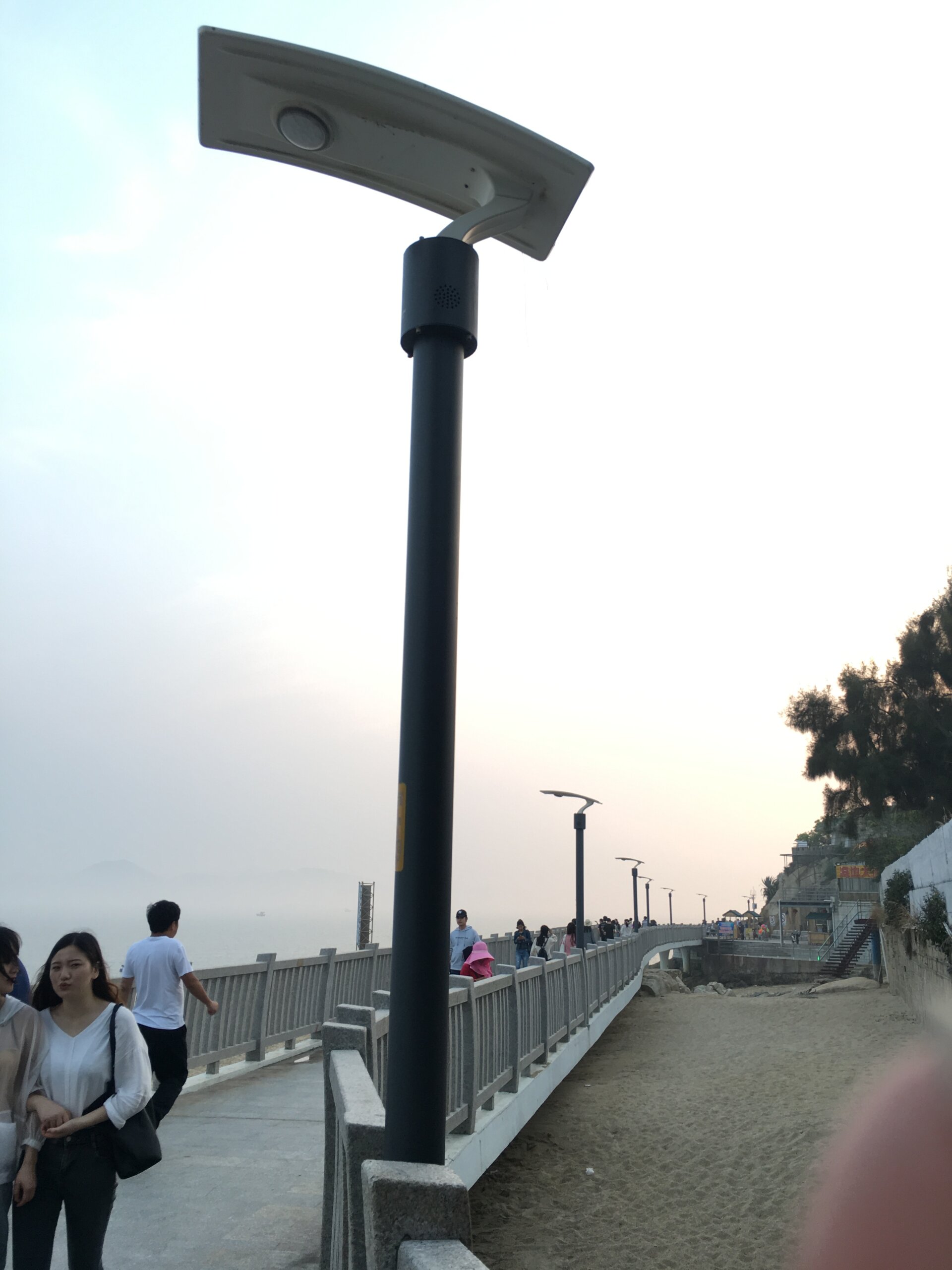 2FSG154 wave solar garden light day time