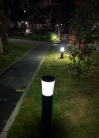 Picture2