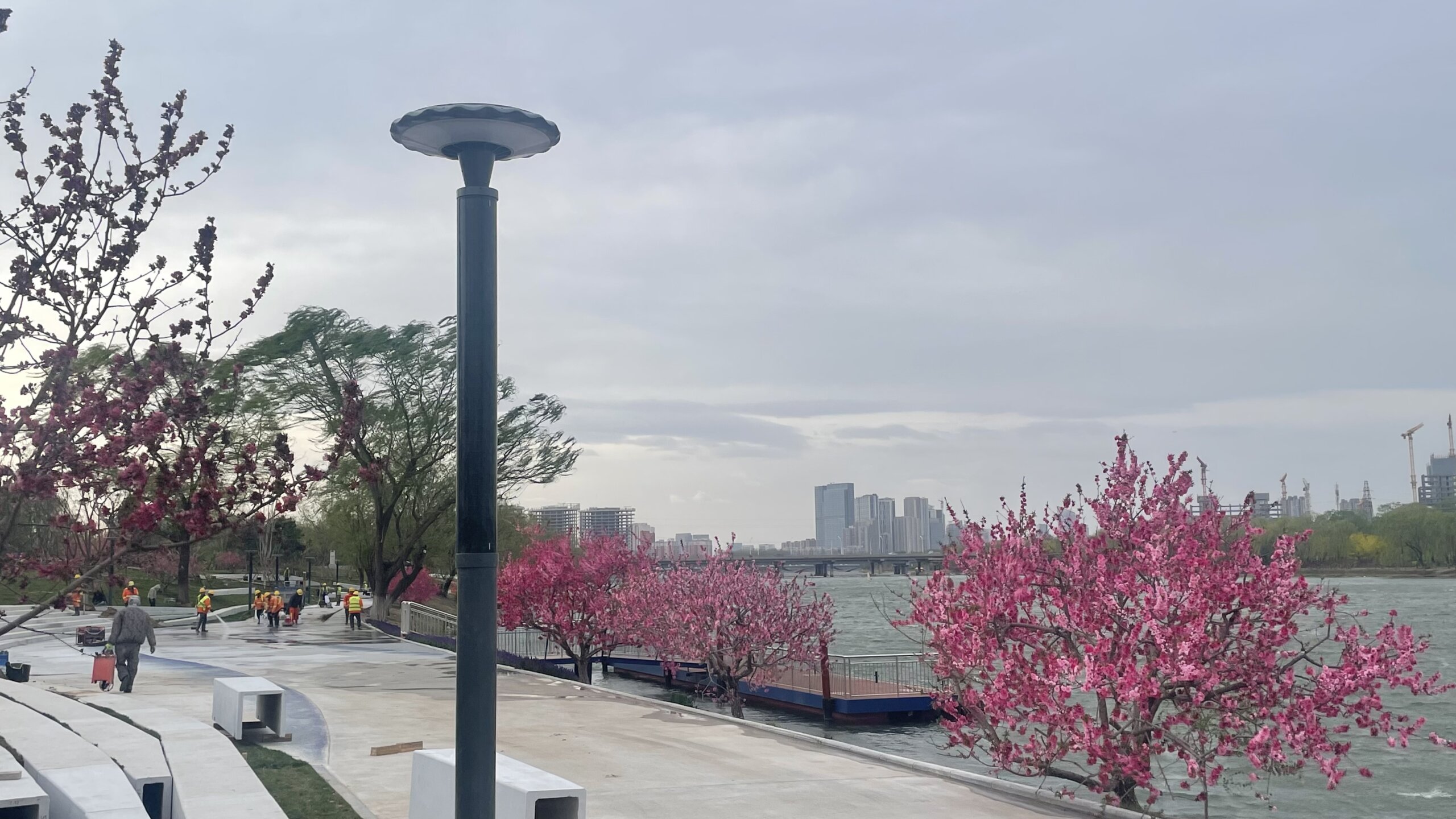 Solar lotus garden light 1