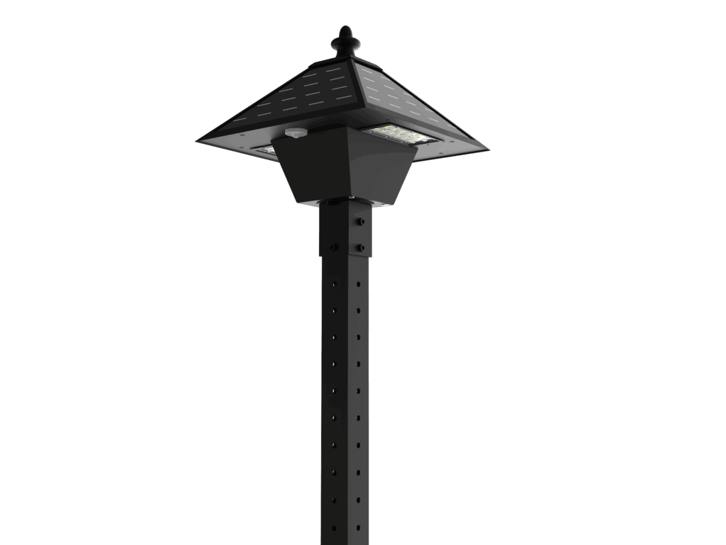 HIGHLIGHT BUS DL Black