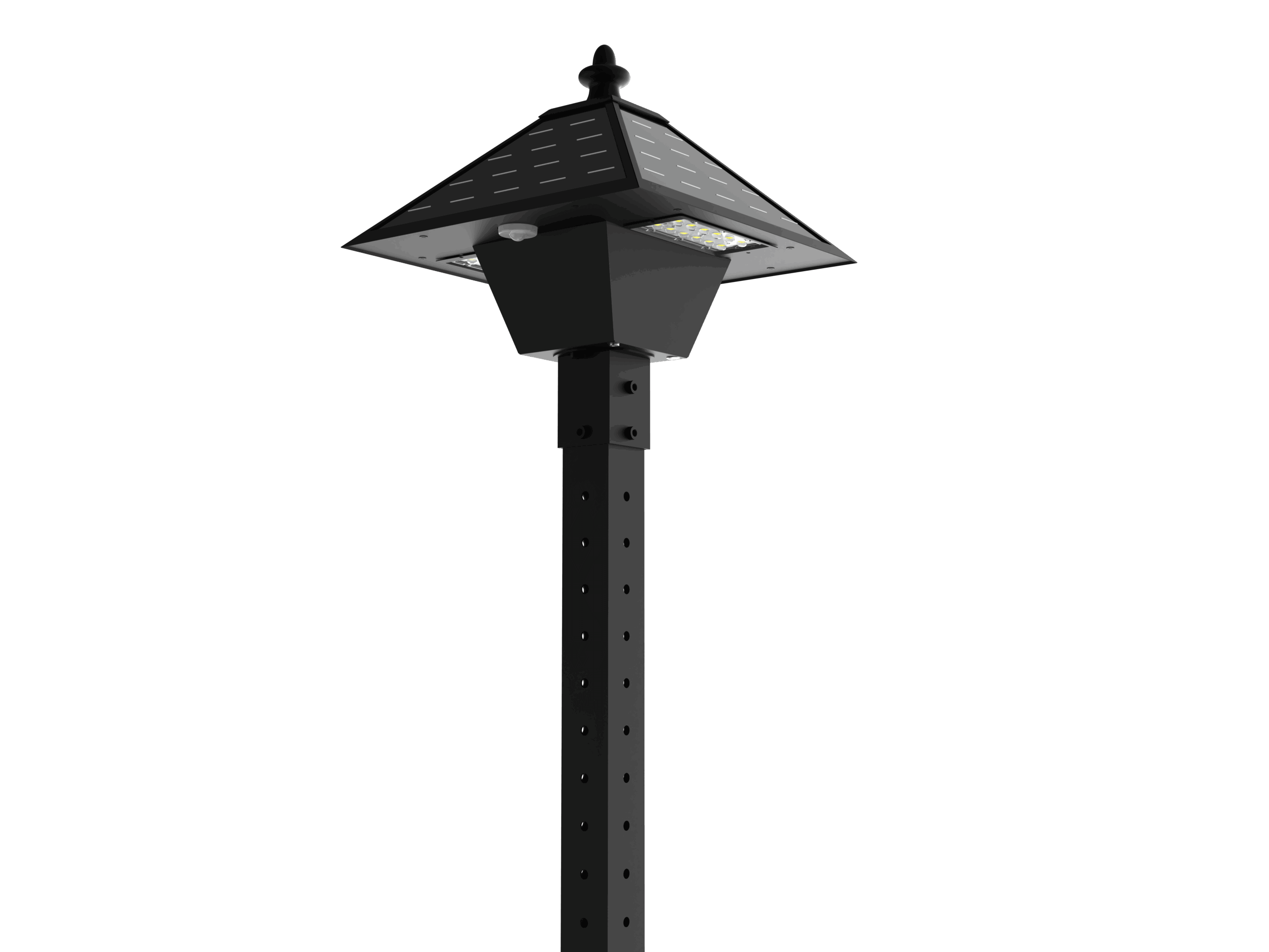 HIGHLIGHT BUS DL Black